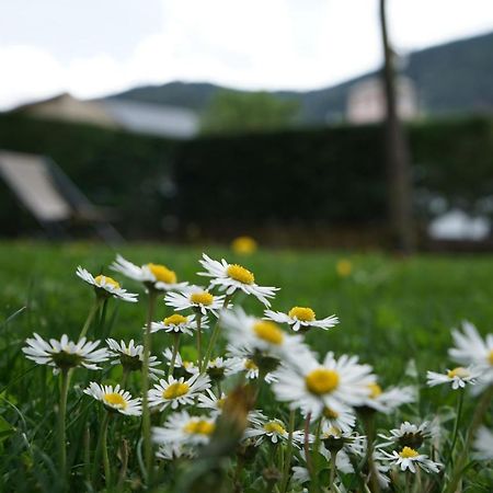 Apartamento Con Jardin En La Cerdanya Err ภายนอก รูปภาพ