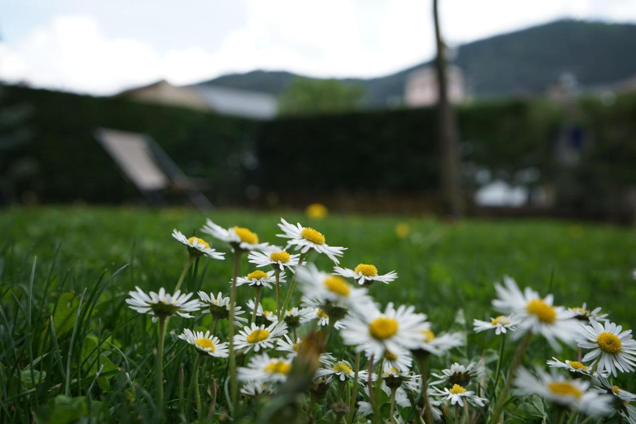 Apartamento Con Jardin En La Cerdanya Err ภายนอก รูปภาพ