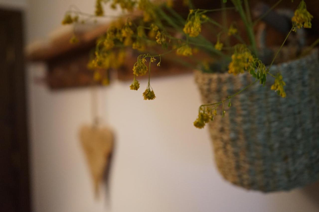 Apartamento Con Jardin En La Cerdanya Err ภายนอก รูปภาพ